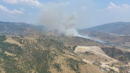 Aydın’da Orman Yangını Meydana Geldi! Hava ve Kara Müdahalesi Devam Ediyor