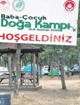 Babalar ve Çocukların Kamp Keyfi