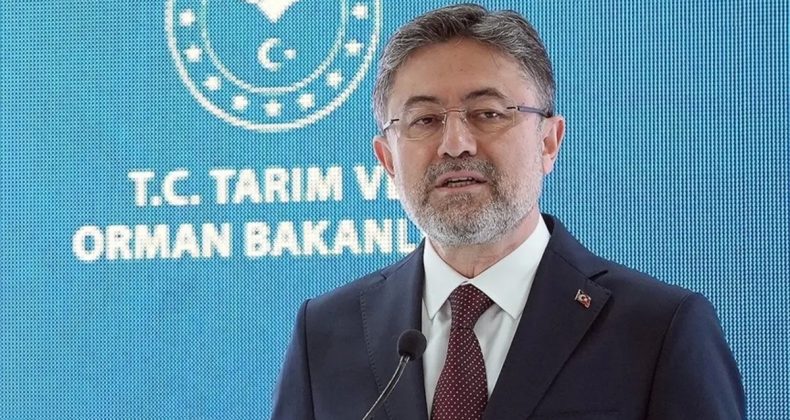 Bafra ve Çaycuma Sera OTB’lerinde Üretim Başladı