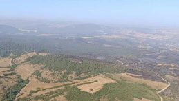 Balıkesir’in Kepsut İlçesinde Orman Yangınları Kontrol Altına Alındı: 5 Gözaltı