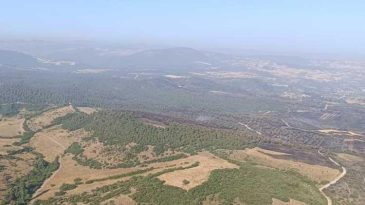 Balıkesir’in Kepsut İlçesinde Orman Yangınları Kontrol Altına Alındı: 5 Gözaltı