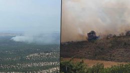 Balıkesir ve Bursa’da Orman Yangını: Ekipler Müdahalede Bulunuyor