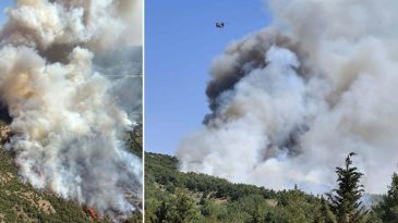 Balıkesir ve Çanakkale’de Orman Yangınları: Hızla Müdahale Ediliyor