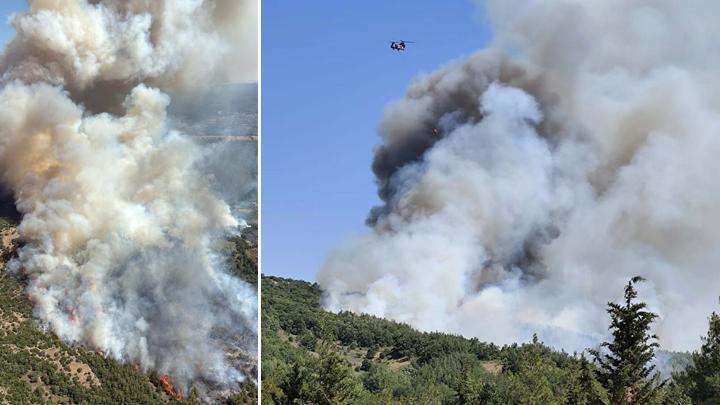Balıkesir ve Çanakkale’de Orman Yangınları: Hızla Müdahale Ediliyor