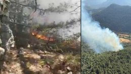 Balıkesir’de Orman Yangını: Havadan ve Karadan Müdahale Devam Ediyor