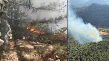 Balıkesir’de Orman Yangını: Havadan ve Karadan Müdahale Devam Ediyor