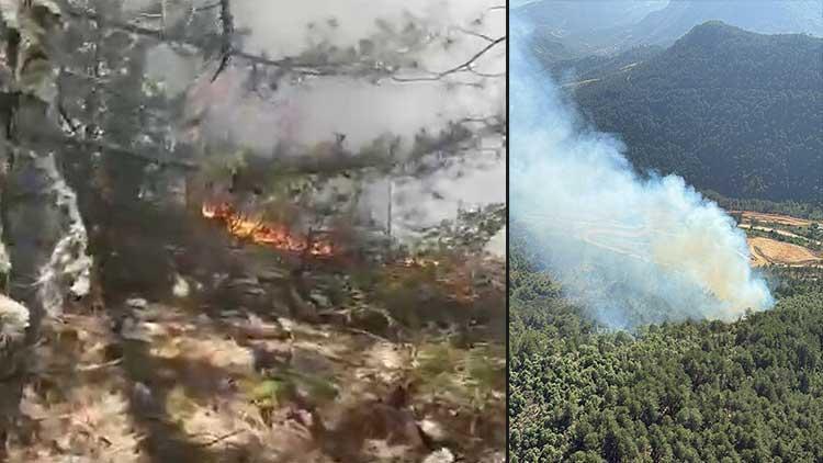 Balıkesir’de Orman Yangını: Havadan ve Karadan Müdahale Devam Ediyor