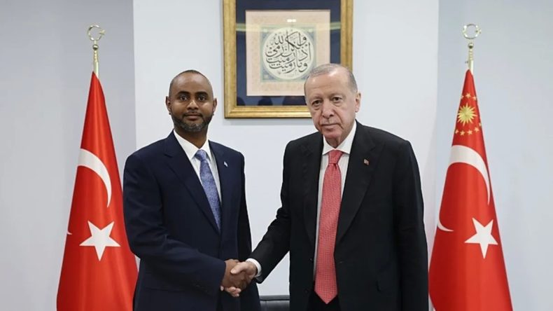 Başkan Erdoğan, Abdulkadir Muhammed Nur'u Ağırladı