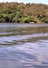 Beykoz’da Bulunan Ceset Hüseyin Karakuş’a Ait Oldu
