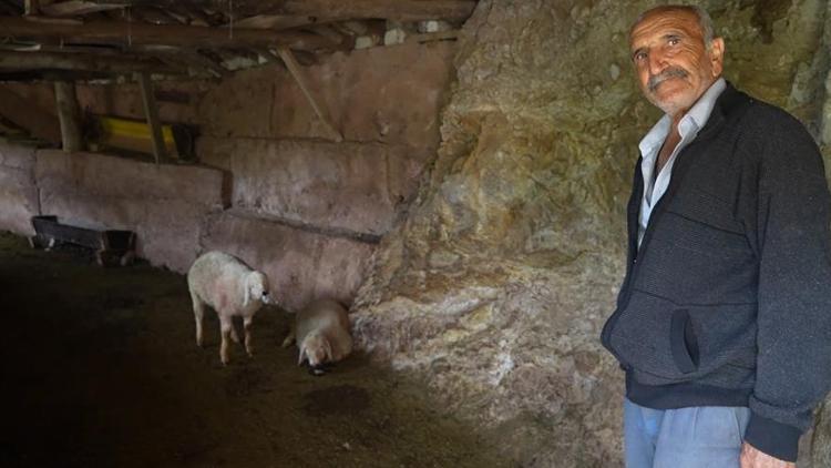 Bir gecede hepsi yok oldu! ‘Canavar geldi, hepsini kırdı geçti’