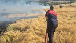 Bitlis'te İki Farklı Yangın 45 Dönümlük Alanı Kül Etti