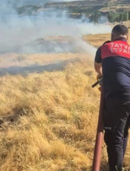 Bitlis'te İki Farklı Yangın 45 Dönümlük Alanı Kül Etti