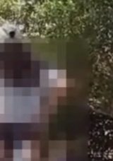 Bodrum’da İlginç Olay! Hem Polislere Hem de Vatandaşlara Taciz ve Hakaret