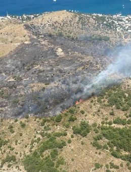 Bodrum’daki Makilik Yangını 20 Hektarı Kül Etti
