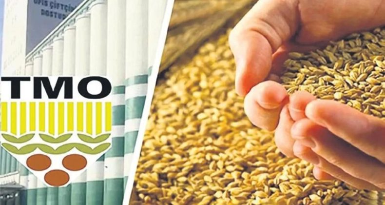 Buğday 13.500, Arpa İse 11 Bin TL’den Alınacak