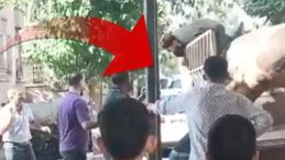 Bunu hiç beklemiyorlardı… Bir anda çığlık sesleri yükseldi: Kızgın boğanın ‘kurbanı’ oldular
