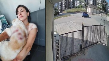 Bursa'da K&ouml;peğini Gezdiren Kadına Diğer K&ouml;pekler Saldırdı