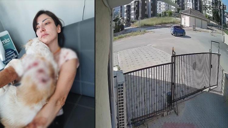 Bursa'da Köpeğini Gezdiren Kadına Diğer Köpekler Saldırdı
