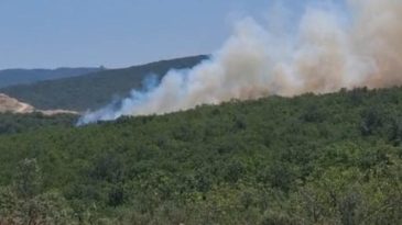 Bursa’da Orman Yangını! Karadan ve Havadan Müdahale Ediliyor