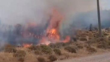 Çanakkale’de Korkutan Yangın