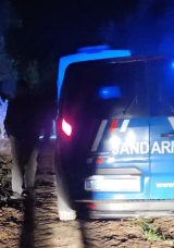 Çiftlik Evindeki Baltalı Cinayetin Sırrı Çözüldü! 17 Yaşındaki Katilin İfadesi Ortaya Çıktı