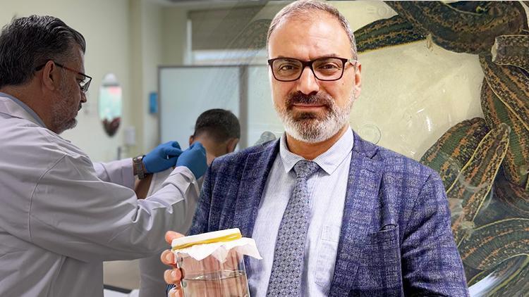 Çiftliklerde Üretilip Tedavide Kullanılıyor: ‘Kanser Hücrelerine Uyguladık, Başarılı Sonuç Aldık’