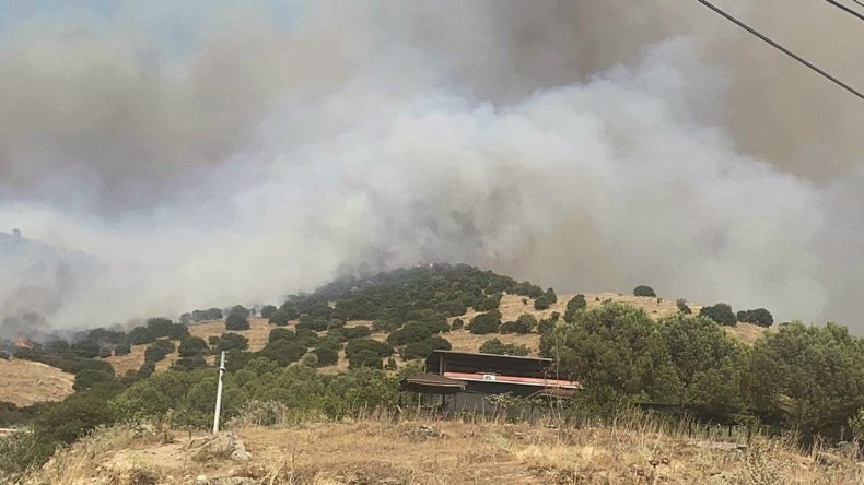 Ciğerimizi Yakan Yangın Sezonu Başladı