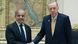 Cumhurbaşkanı Erdoğan, Pakistan Başbakanı Şerif ile bir araya geldi