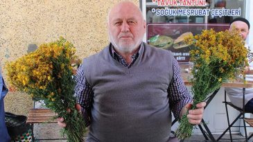 Dağlardan Toplayıp Pazarda Satıyorlar: Faydaları Şaşırtıyor
