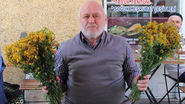 Dağlardan Toplayıp Pazarda Satıyorlar: Faydaları Şaşırtıyor