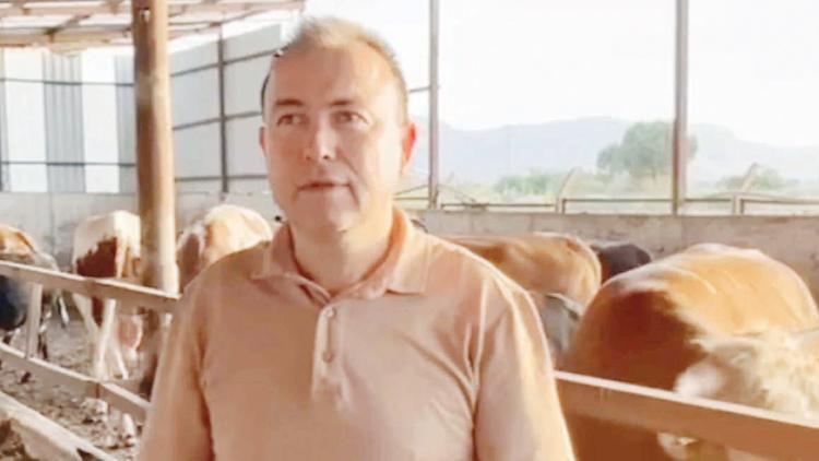 Dananın Fotoğrafını Çekerken Hayatını Kaybetti