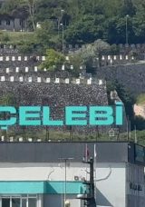 Deniz Tabakası Cesetlerle Dolu: Ölü Balıklar Yüzeye Çıkıyor
