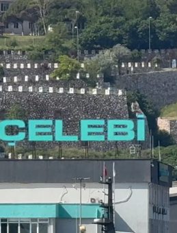 Deniz Tabakası Cesetlerle Dolu: Ölü Balıklar Yüzeye Çıkıyor