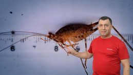 Dicle’de keşfedilen yeni çekirge türüyle ilgili önemli buluş