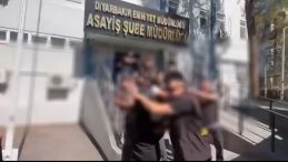 Diyarbakır Merkezli Akbaba Operasyonu: Özel Ekip 2 Ayda Suç Ağını Çökertti