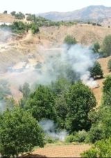Diyarbakır’da Uyuşturucuya Büyük Darbe! 12 Milyon Kök Kenevir Efektif Olarak İmha Edildi