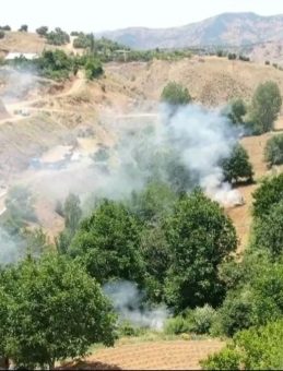 Diyarbakır’da Uyuşturucuya Büyük Darbe! 12 Milyon Kök Kenevir Efektif Olarak İmha Edildi