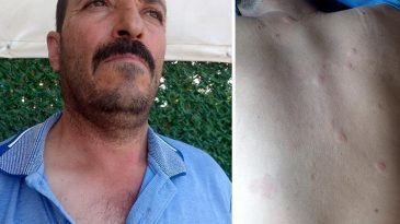 Duyduğu Seslere Giden Çiftçi, Hayatının Şokunu Yaşadı!