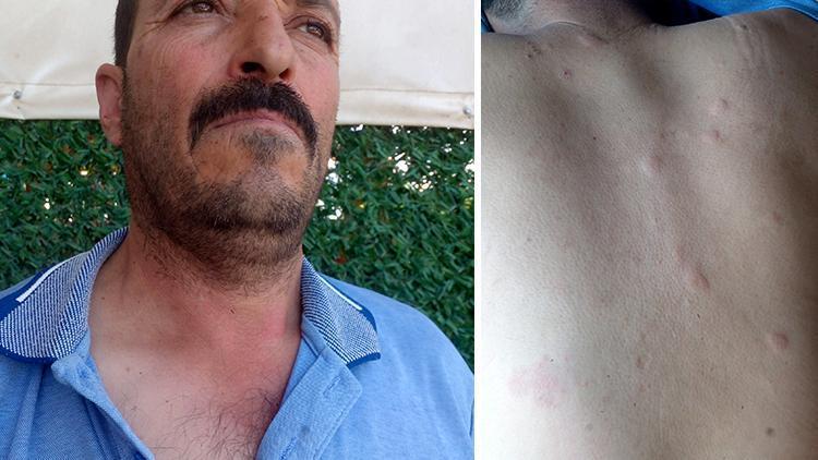 Duyduğu Seslere Giden Çiftçi, Hayatının Şokunu Yaşadı!
