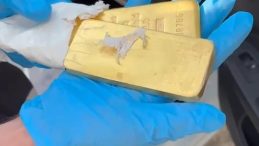 Edirne’de Otomobilden 7 Külçe Altın Ele Geçirildi