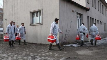 Ekipler Harekete Geçti! Şırnak’ta Şap Hastalığı Tespit Edildi, Karantinaya Alındı