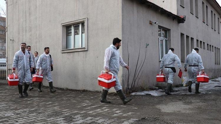 Ekipler Harekete Geçti! Şırnak’ta Şap Hastalığı Tespit Edildi, Karantinaya Alındı