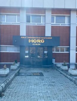 Elazığ’da Uçurumdan Düşen Genç Hayatını Kaybetti