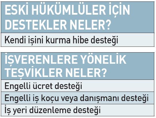 Destekli İstihdam Projesi
