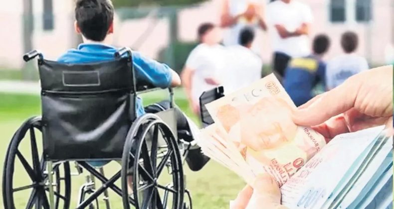 Engelli ve Eski Hükümlülere İstihdam İmkanları