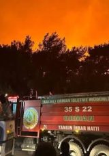 Evi kundaklayıp orman yangını başlatmış! Ş&uuml;pheli g&ouml;zaltına alındı