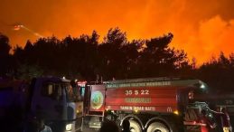 Evi kundaklayıp orman yangını başlatmış! Ş&uuml;pheli g&ouml;zaltına alındı