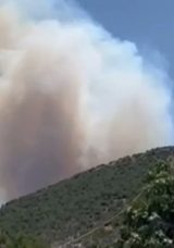 Gaziantep'te Orman Yangını: Helikopterle M&uuml;dahale Ediliyor