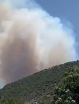 Gaziantep'te Orman Yangını: Helikopterle Müdahale Ediliyor
