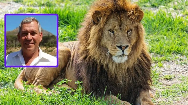 Girişimcinin Hayatını Kaybetmesine Sebep Olan Aslan Olayı